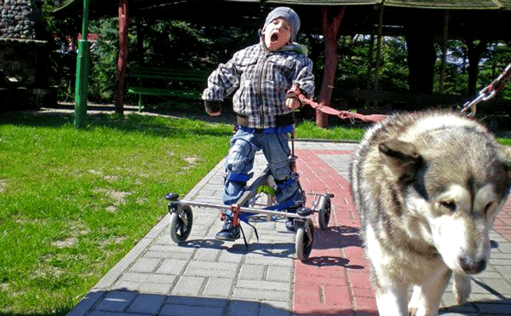 NF-Walker_walking_dog.png