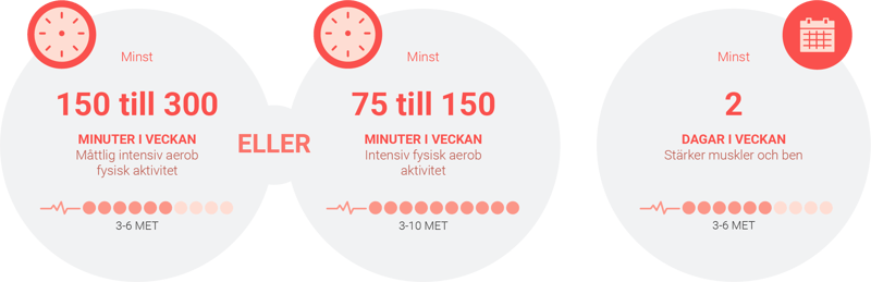 Rekommendationer för fysisk aktivitet för vuxna