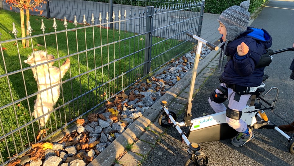 Junge genießt den Anblick eines Hundes hinter dem Zaun in seinem Xplore